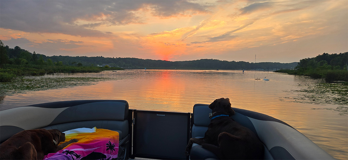 Orthodontist Near Me